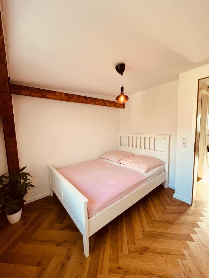 Jugendstil-Altbauwohnung Mit Dachterrasse Direkt An Der Karlsaue Kassel Buitenkant foto