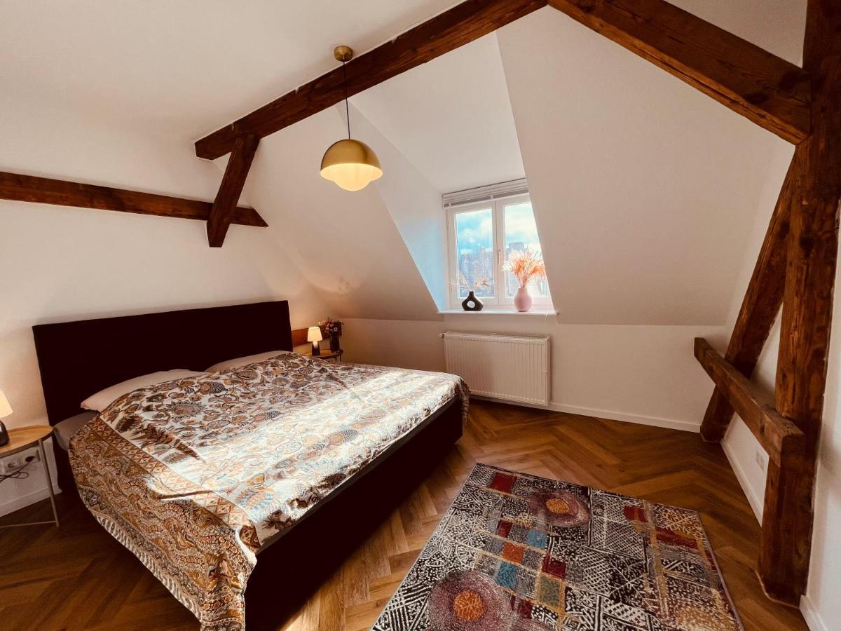 Jugendstil-Altbauwohnung Mit Dachterrasse Direkt An Der Karlsaue Kassel Buitenkant foto